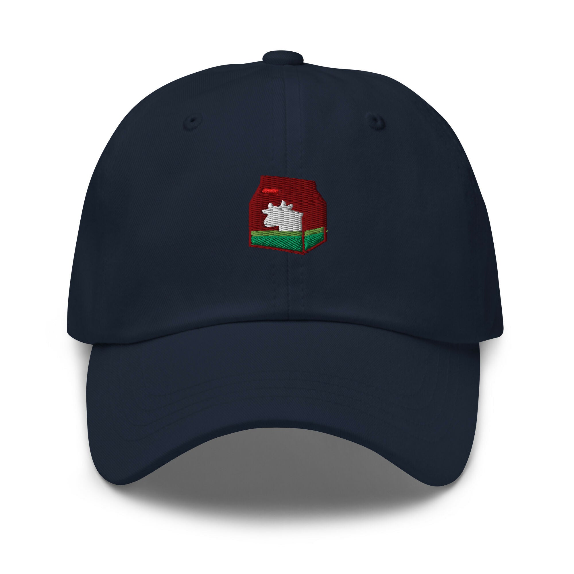 classic-dad-hat-navy-front-6769c50be4a50