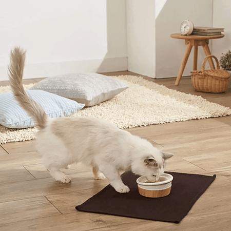 Petio|Necoco Woodgrain Porcelain Feeding Bowl (Blue - for wet food) - Cats1stUK