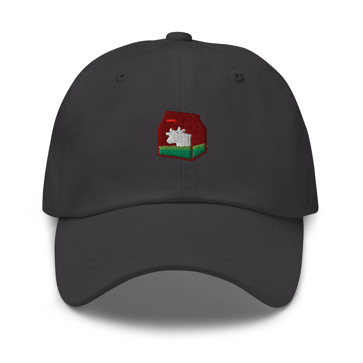 classic-dad-hat-dark-grey-front-6769c50be52a2