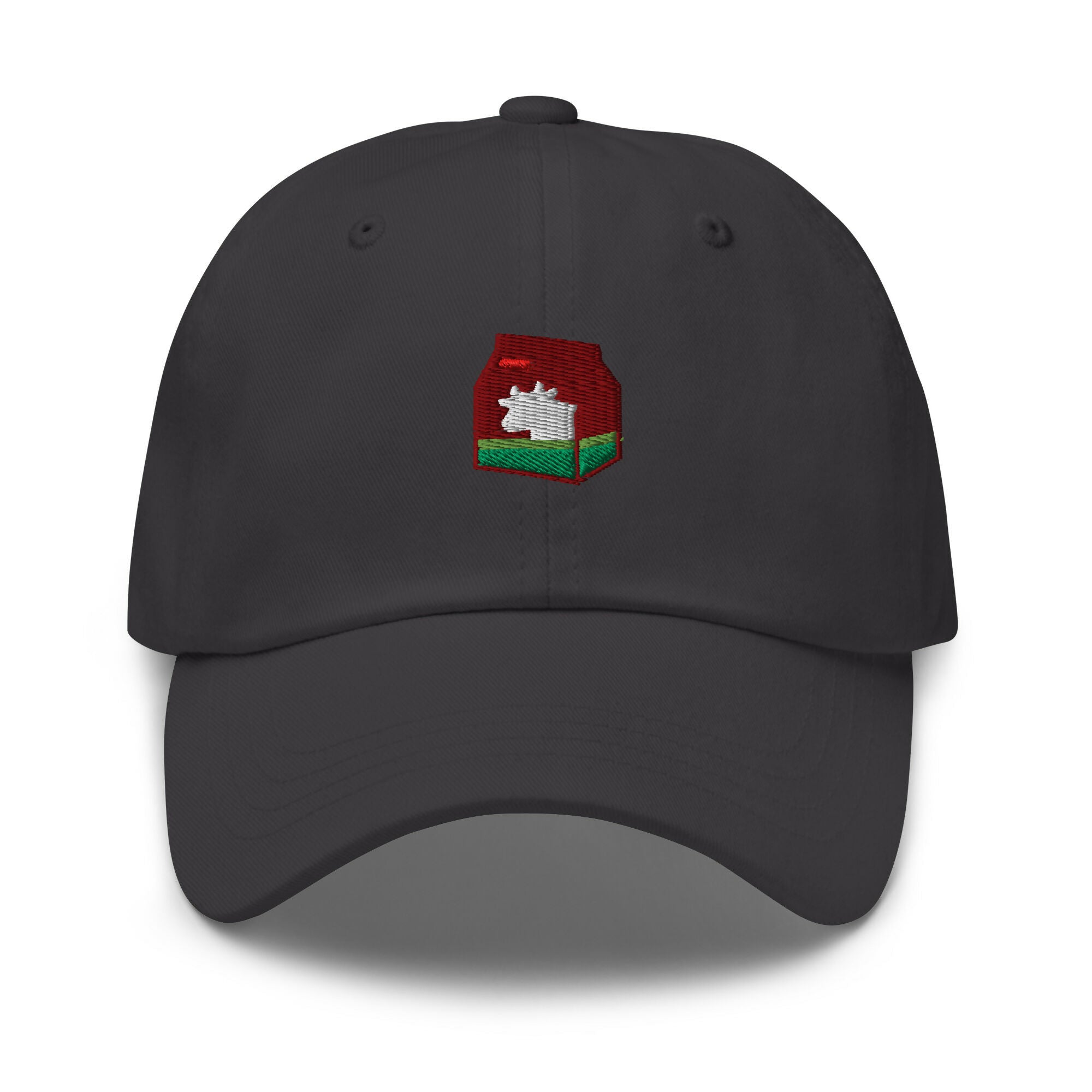 classic-dad-hat-dark-grey-front-6769c50be52a2