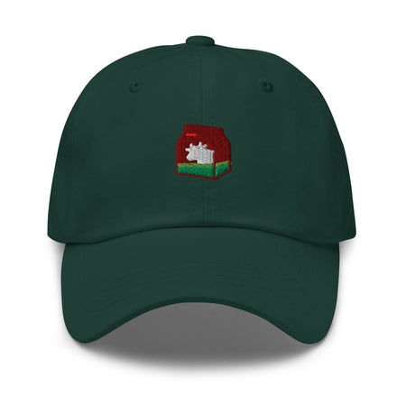 classic-dad-hat-spruce-front-6769c50be4e1d