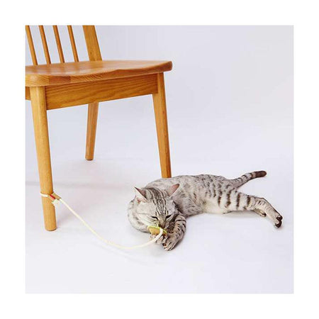 Petio Loofah & Leather Dental Care Toy String - Cats1stUK