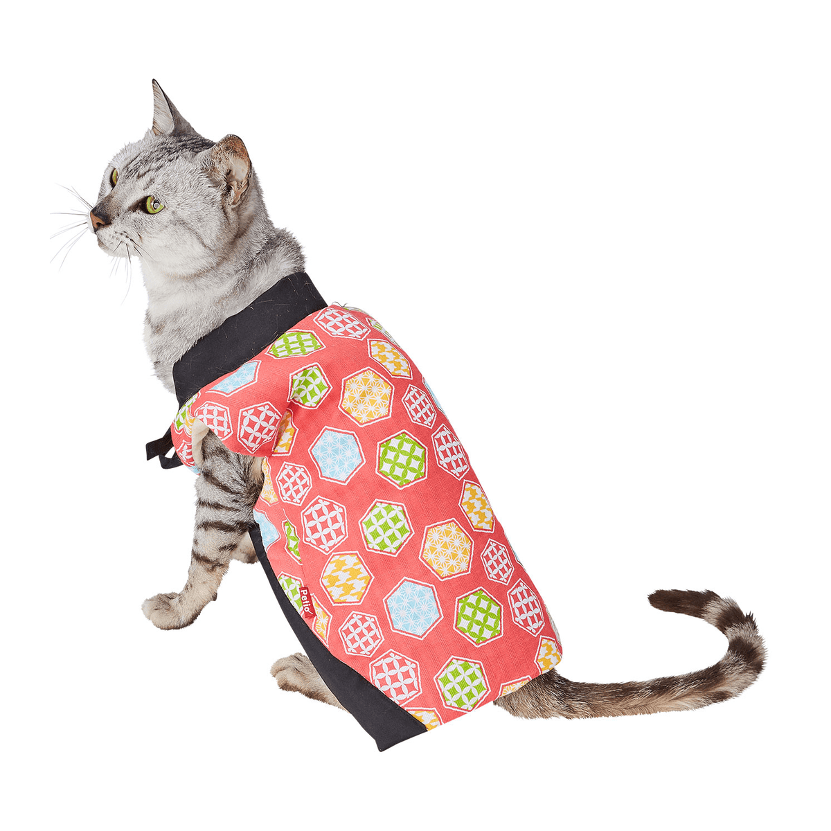 Petio Winter Nuku Nuku Kimono Jacket - Cats1stUK