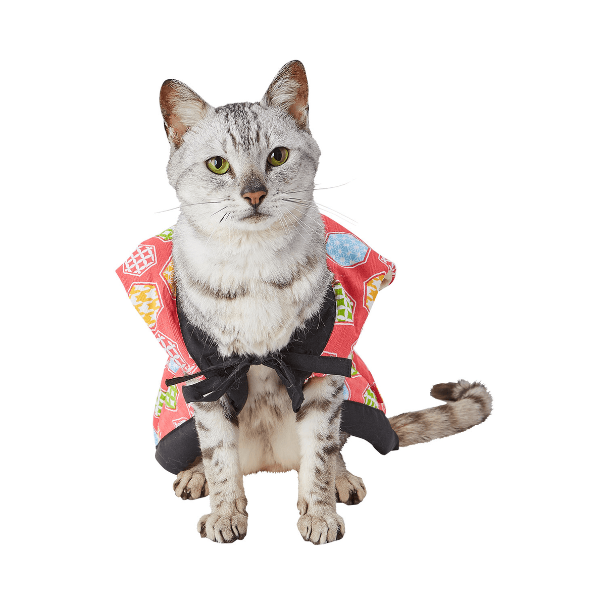 Petio Winter Nuku Nuku Kimono Jacket - Cats1stUK