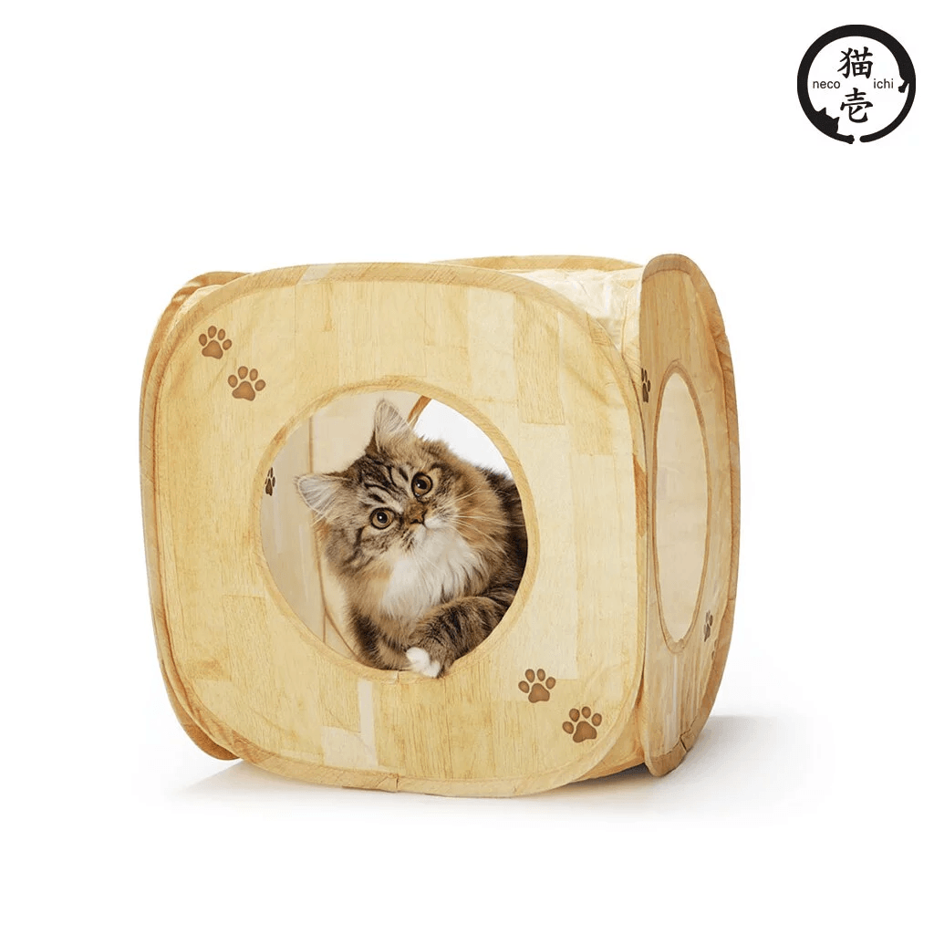 Japan Necoichi Cat Play Cube (Wood Grain) - Cats1stUK