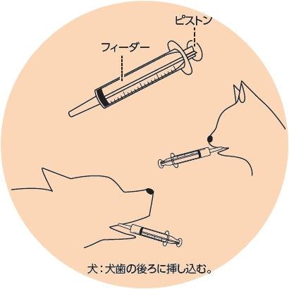 Nyanta Club Pet Liquid Feeding Syringe - Cats1stUK