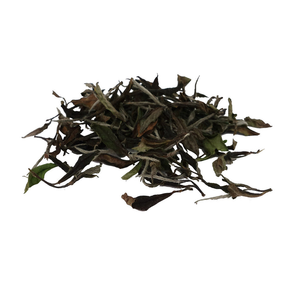 Pinglin White Tea - Whole Leaf Tea 