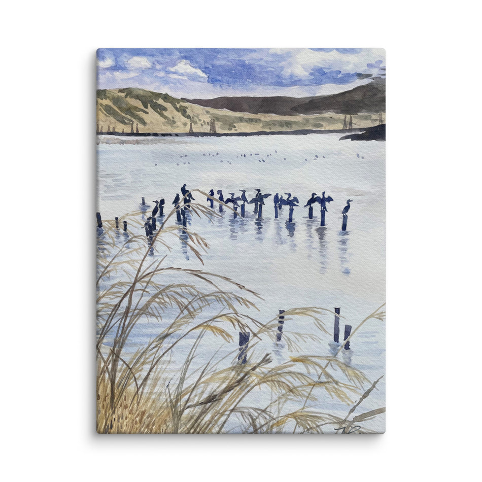 Shoreline Wetland with Cormorants Canvas Print